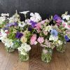 Pickle Jars - Image 2