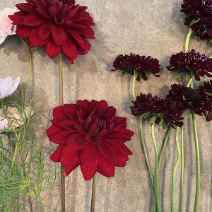 Three month flower subscription - small bouquet