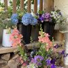 Hand tied bouquet masterclass (for 2) - Image 3